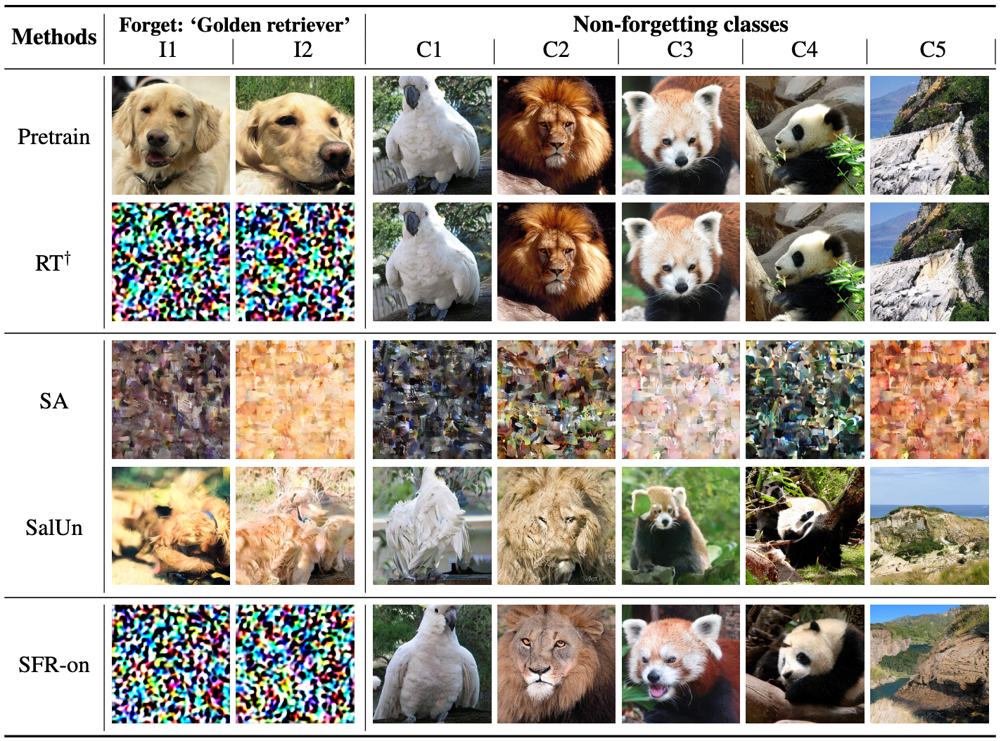 Class-wise forgetting on ImageNet